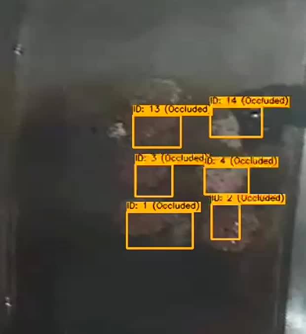 القطع نفسها ما تزال مرصودة رغم حجب جزء منها